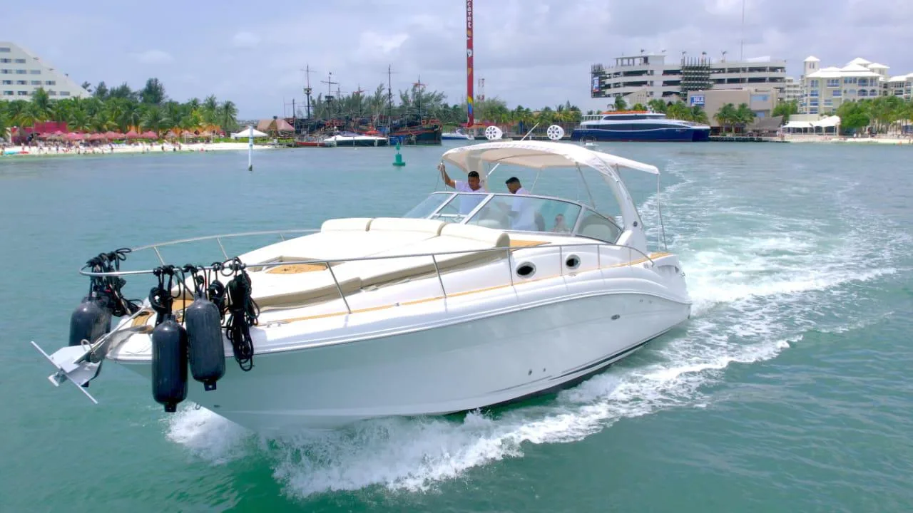 SEARAY 38 Ft — photo 5